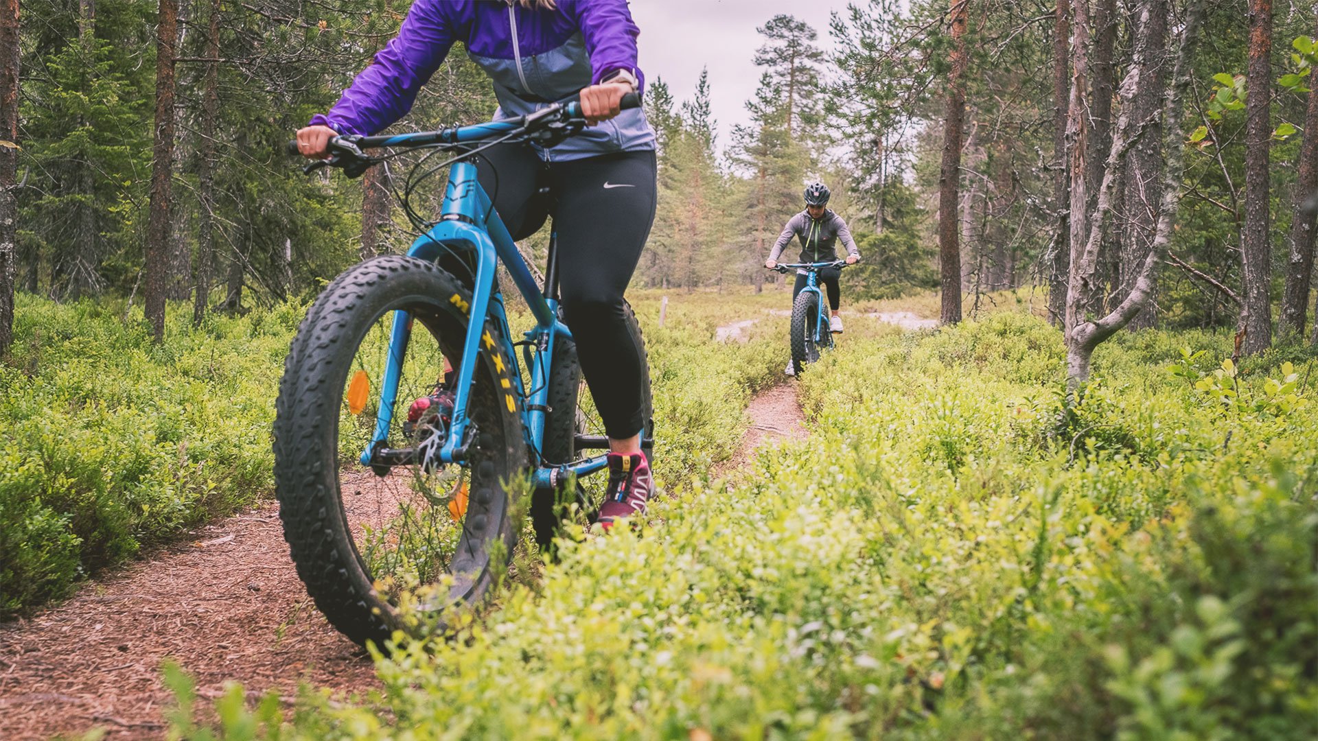 Kaksi henkilöä ajaa fatbikellä metsäisessä maisemassa.
